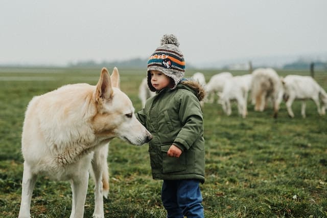 Middle Names for Wolf