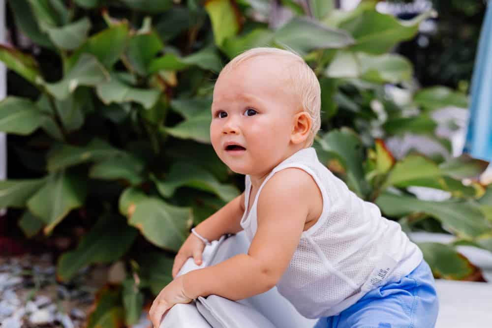 Bavarian Baby Boy Names