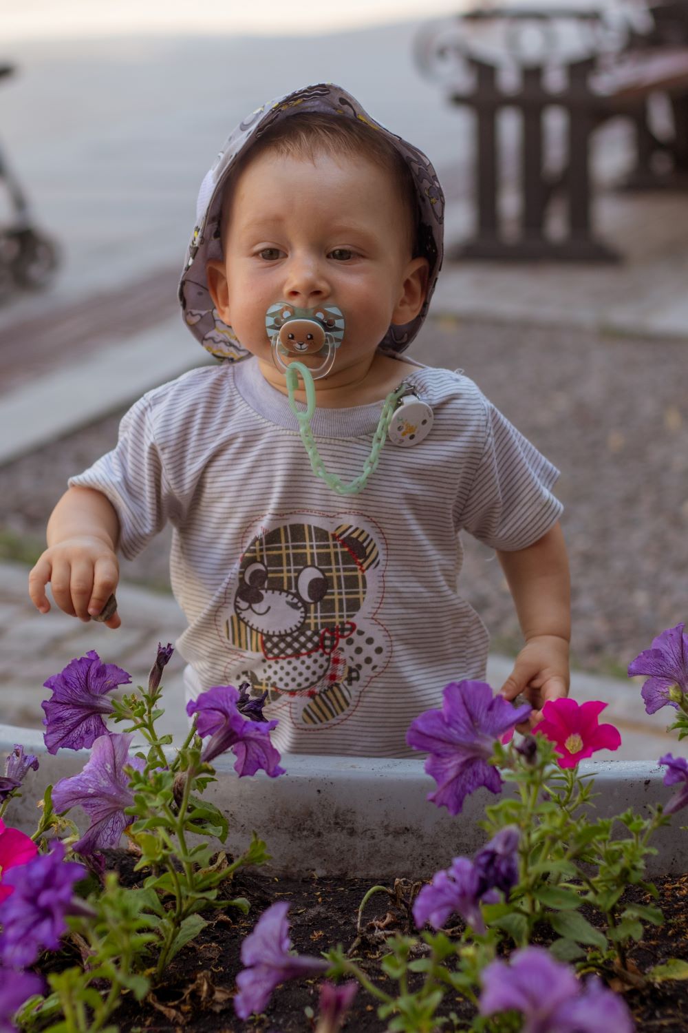 200+ Persian Baby Boy Names