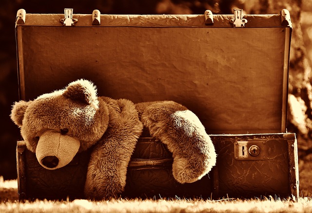 luggage-